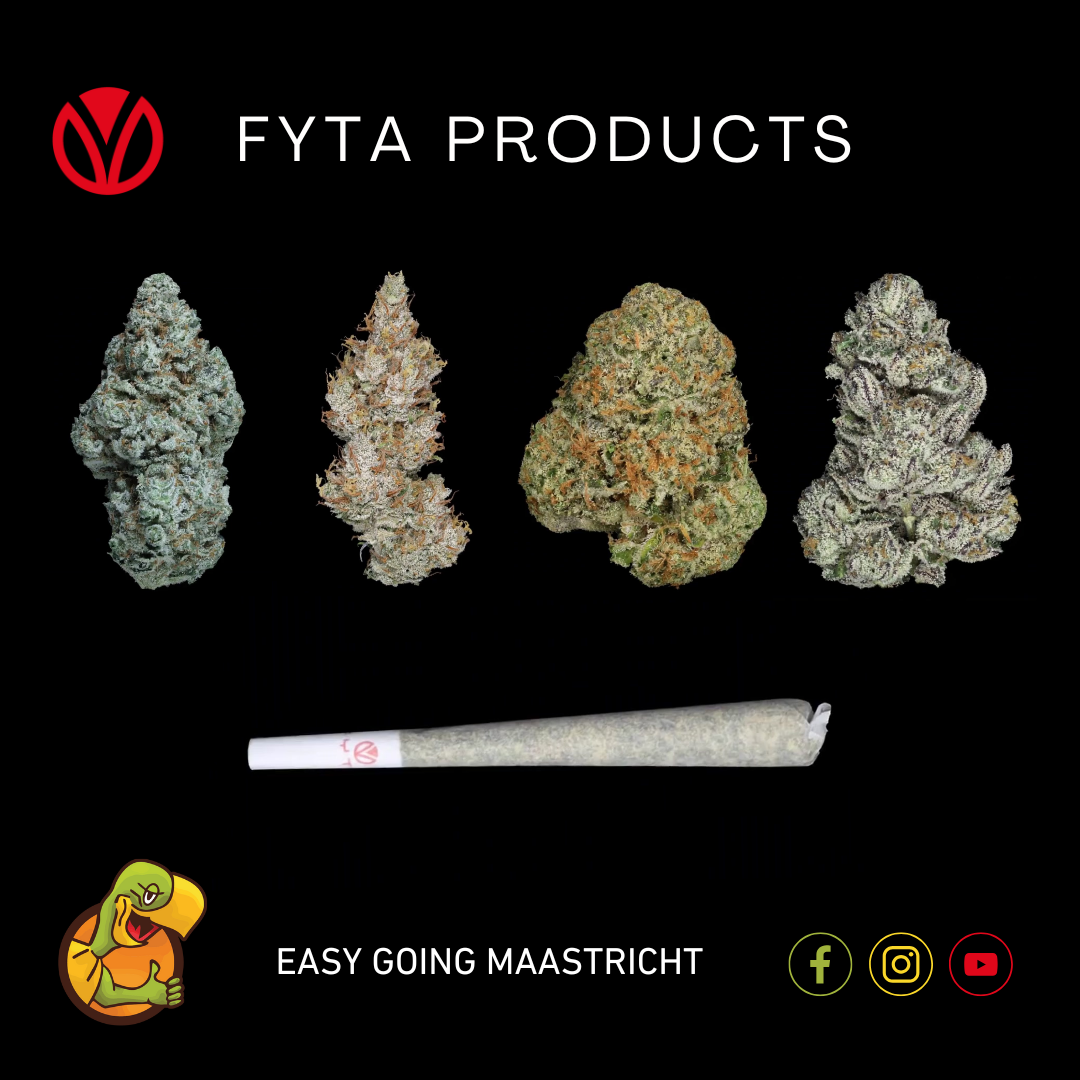 FYTA DEALER IN MAASTRICHT